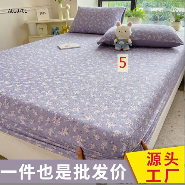 MẪU  5