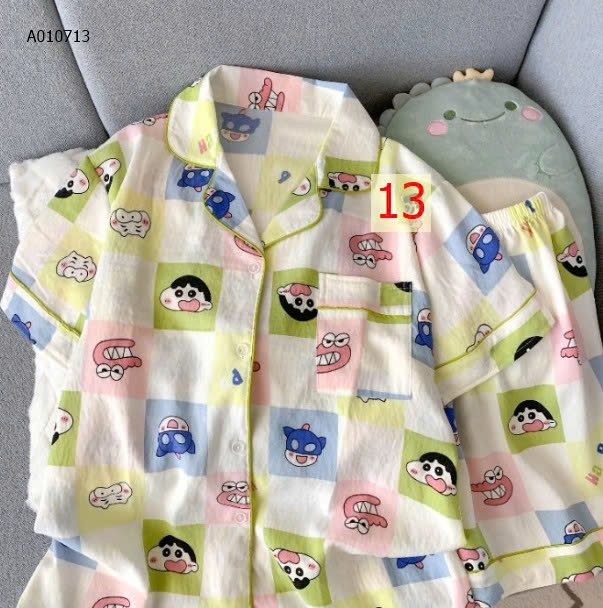 MẪU 13