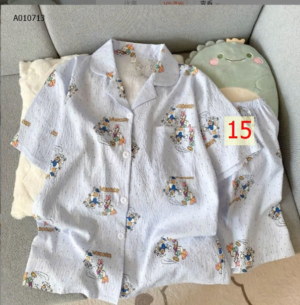 MẪU 15
