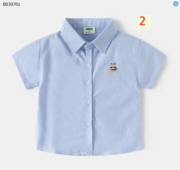 MẪU 2