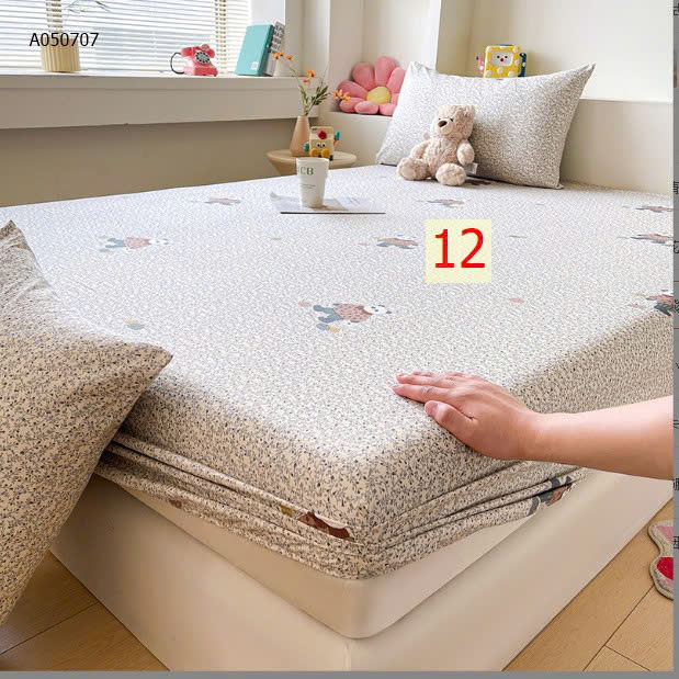 MẪU 12