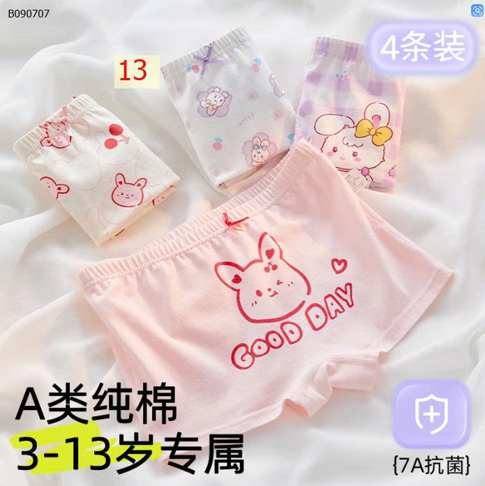 MẪU 13