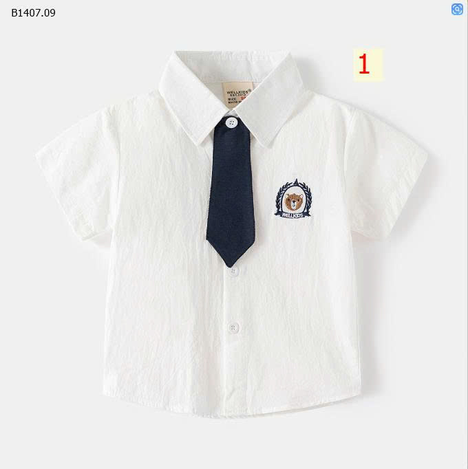 MẪU 1
