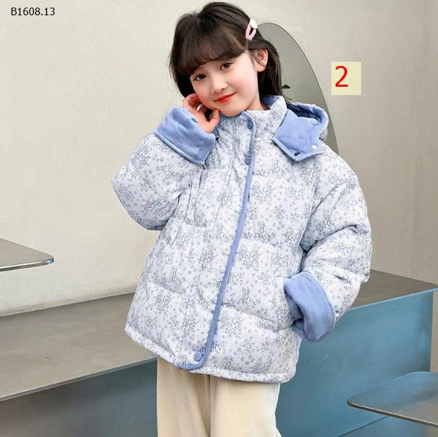MẪU 2