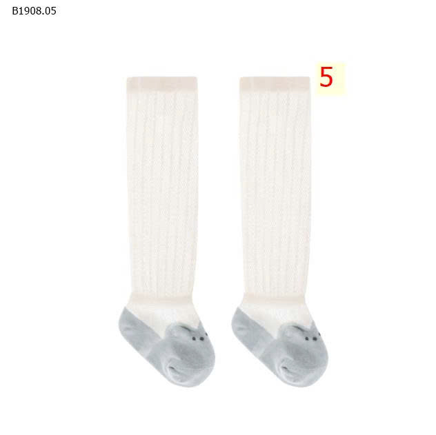 MẪU 5