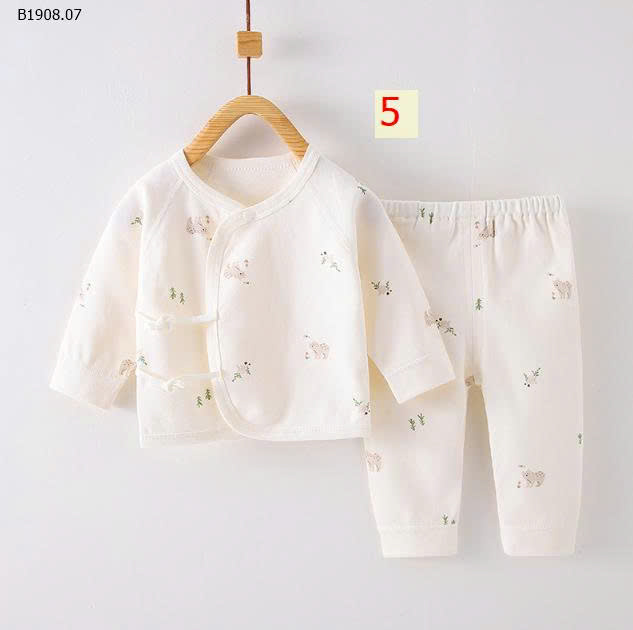 MẪU 5