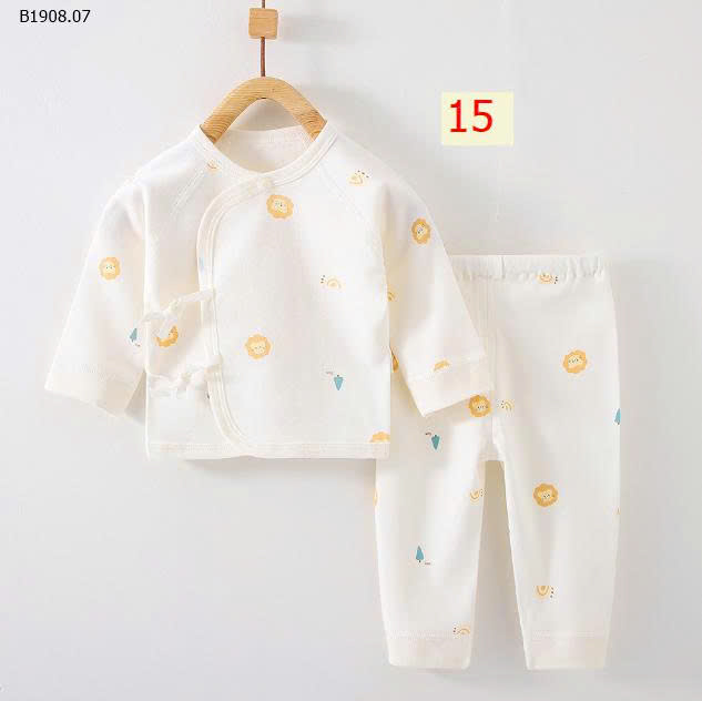 MẪU 15