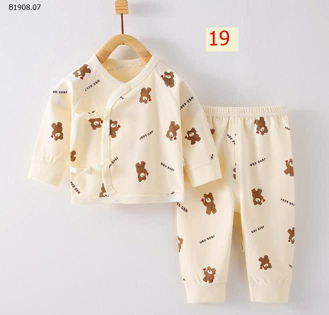 MẪU 19
