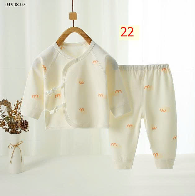 MẪU 22