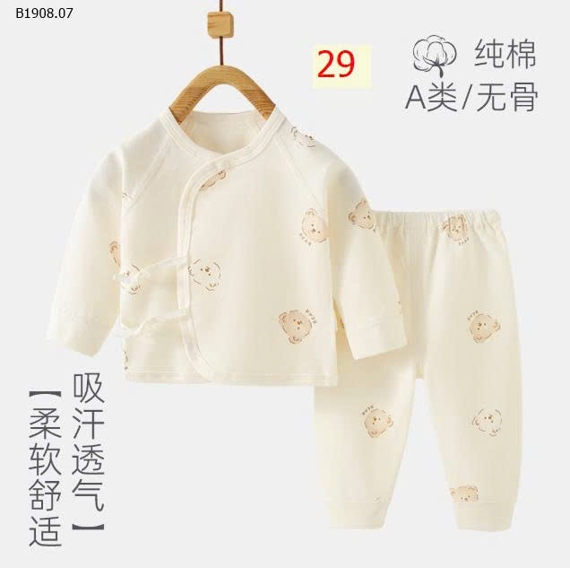 MẪU 29