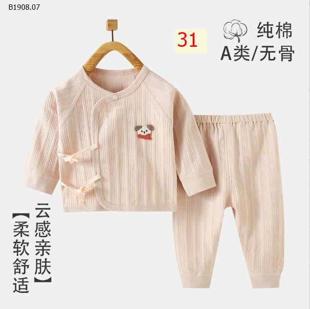 MẪU 31
