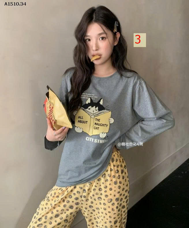 MẪU