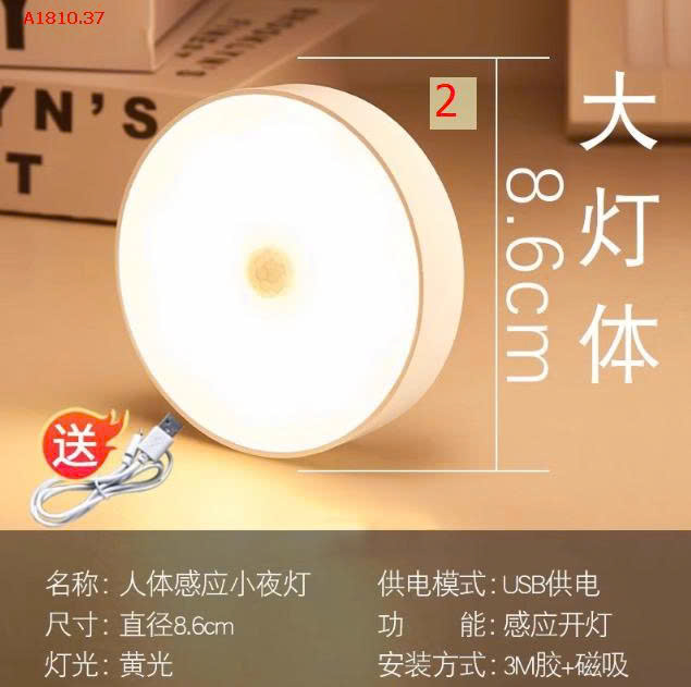 MẪU