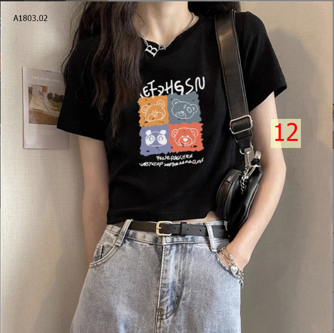 MẪU 12
