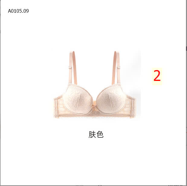 MẪU2