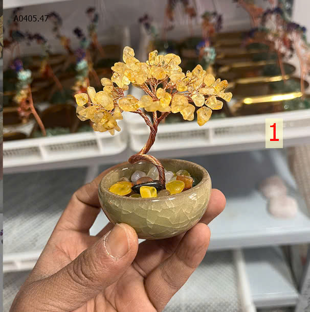 MẪU