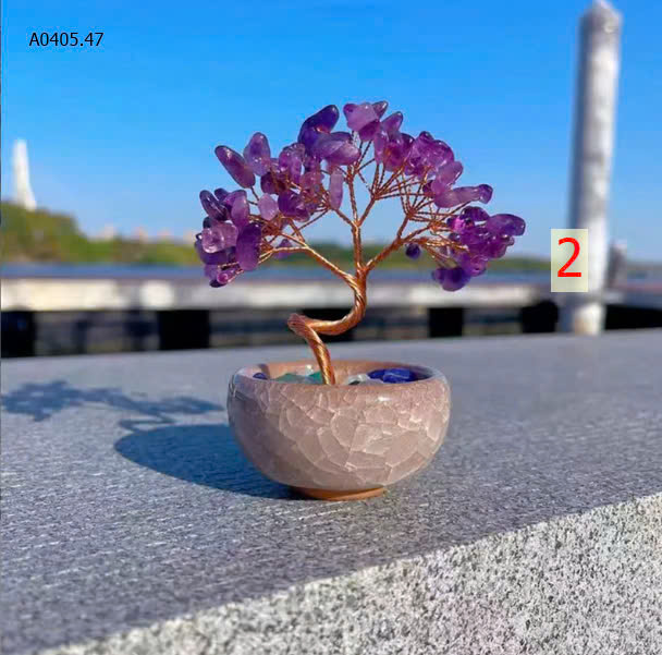 MẪU