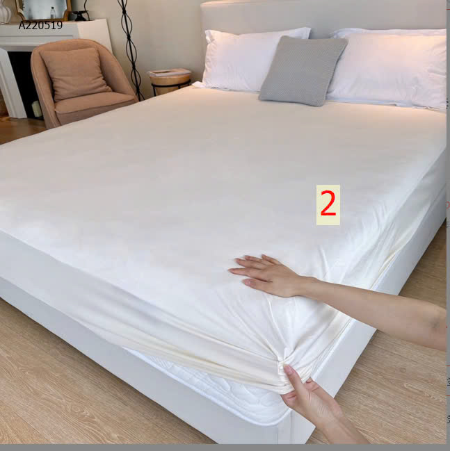 MẪU 2