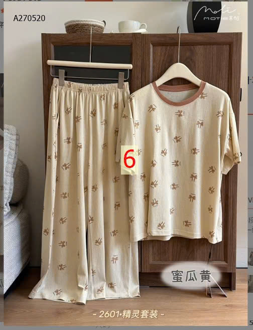 MẪU  6