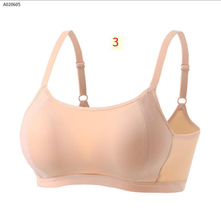 MẪU 3