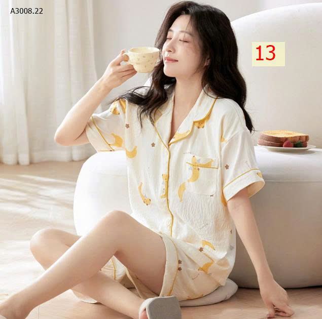 MẪU 13
