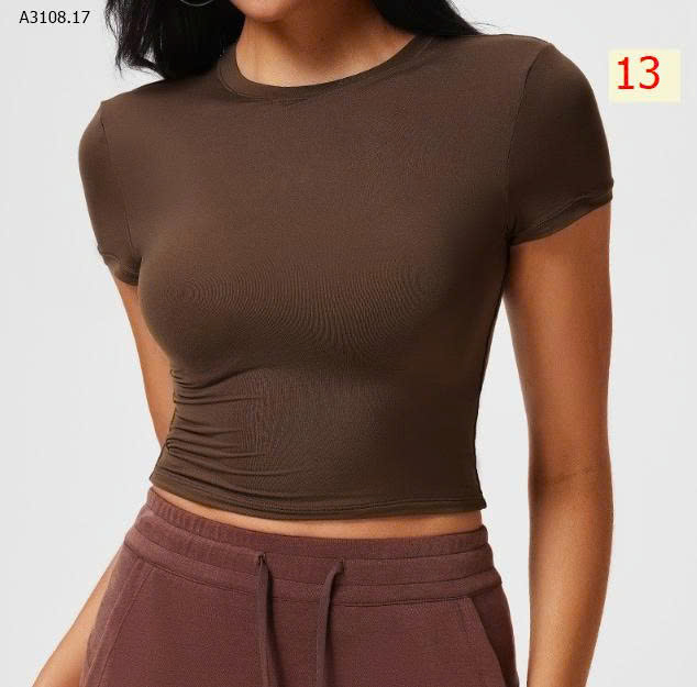MẪU 13