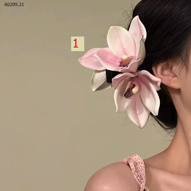 MẪU