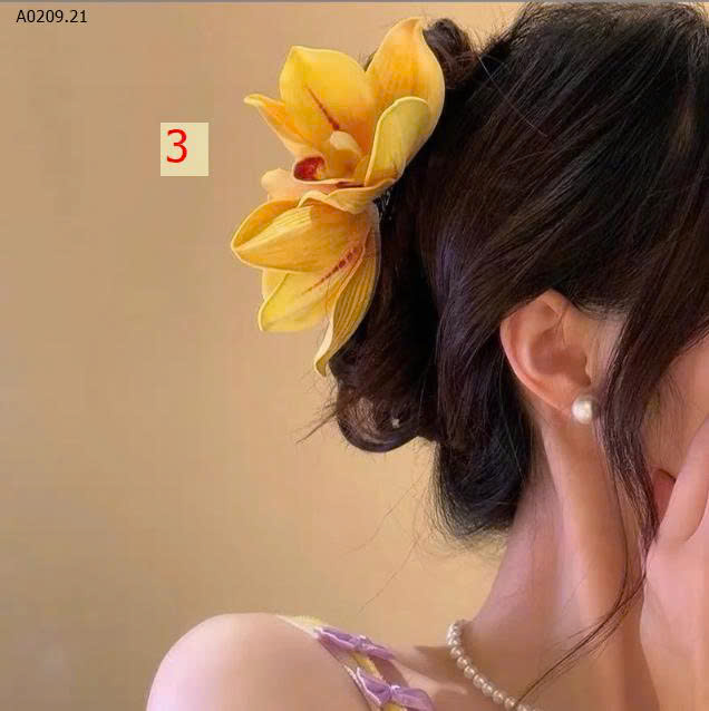 MẪU
