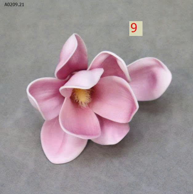 MẪU