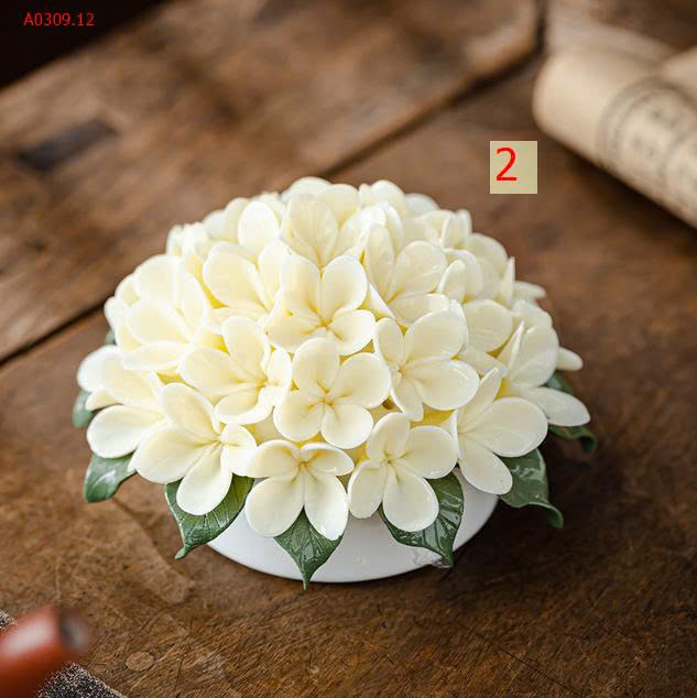 MẪU