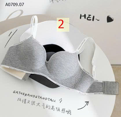 MẪU 2