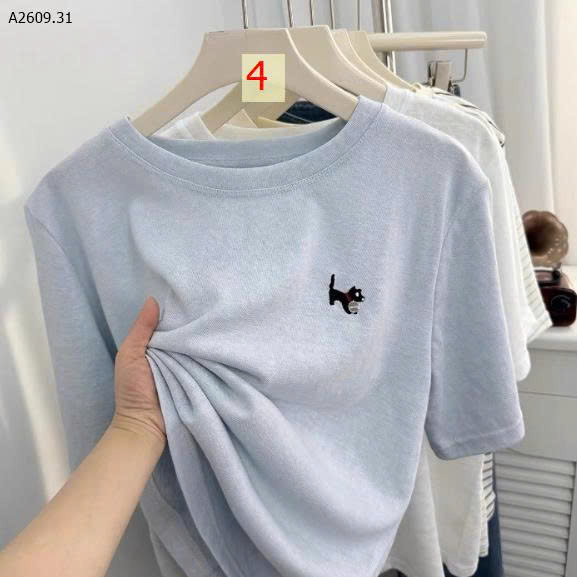 MẪU 4