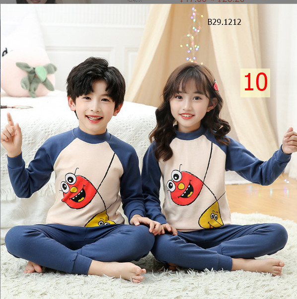 Mẫu 10