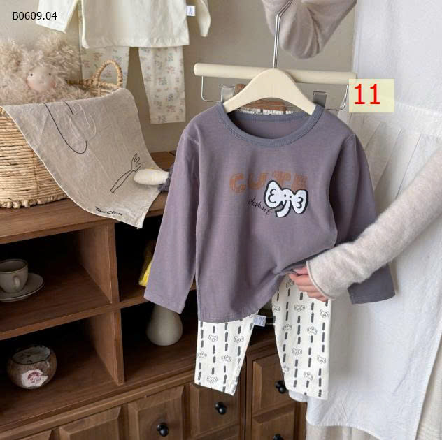 MẪU 11