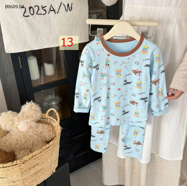 MẪU 13
