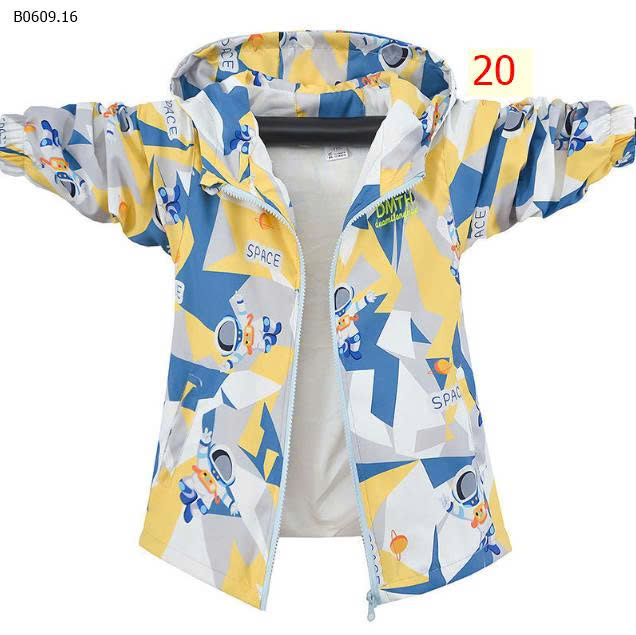 MẪU 20