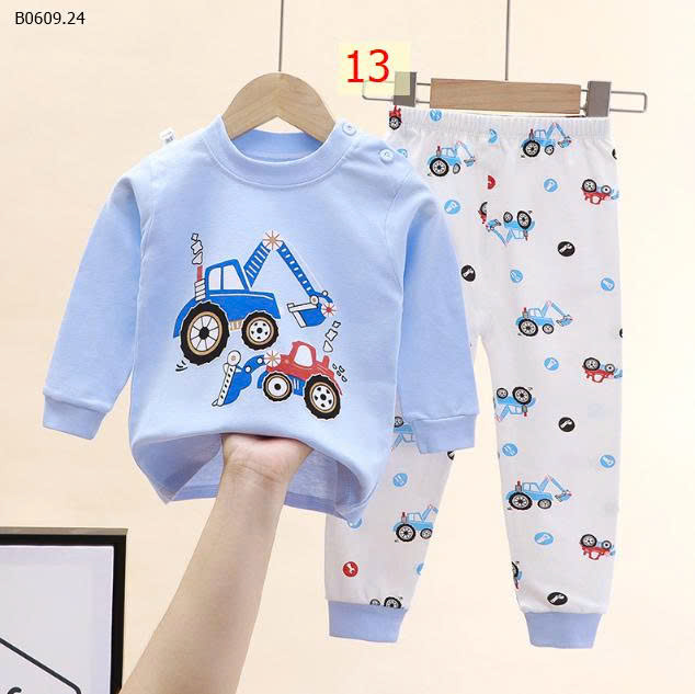 MẪU 13