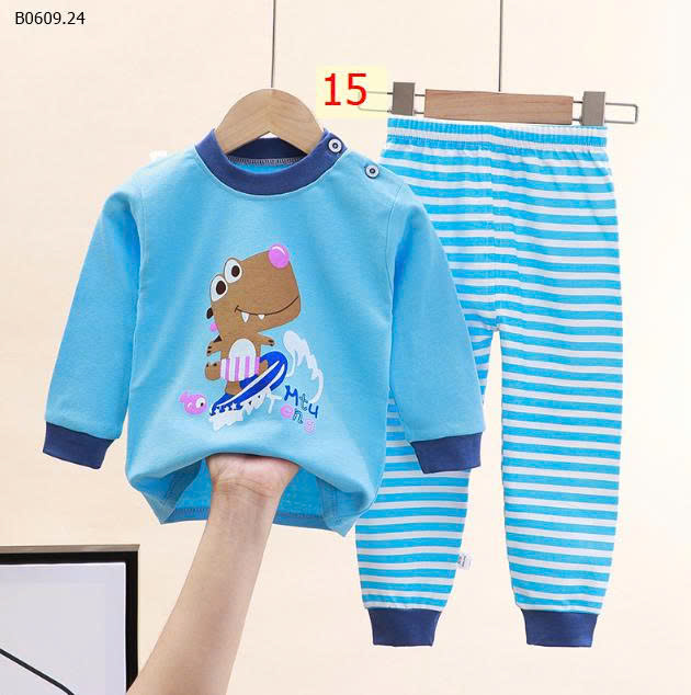 MẪU 15