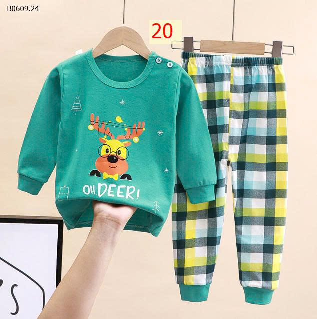 MẪU 20