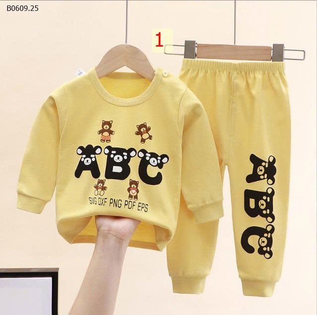 MẪU 1