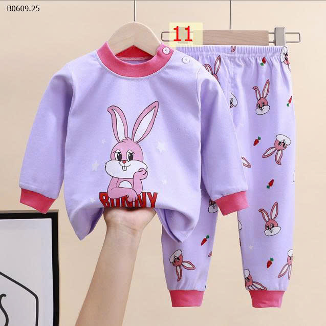 MẪU 11