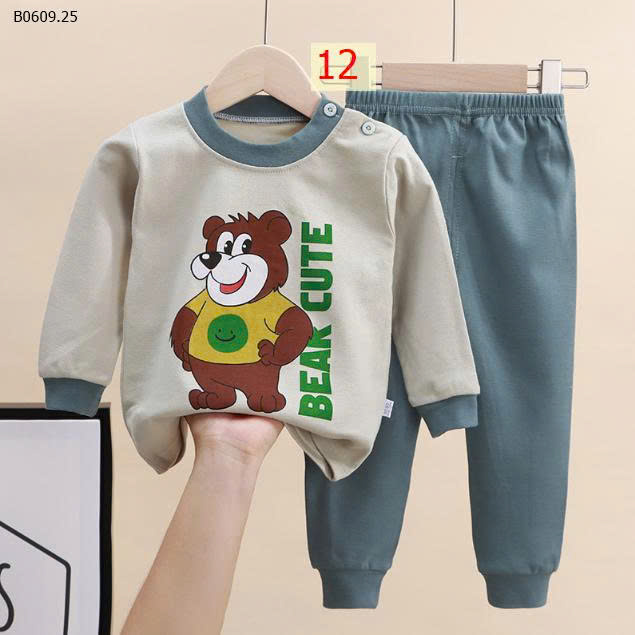 MẪU 12