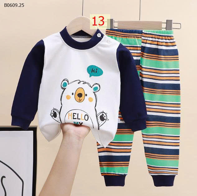 MẪU 13