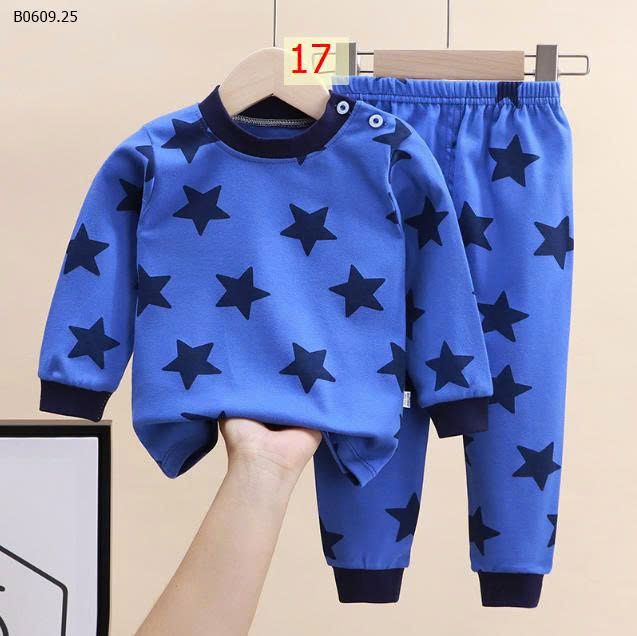 MẪU 17