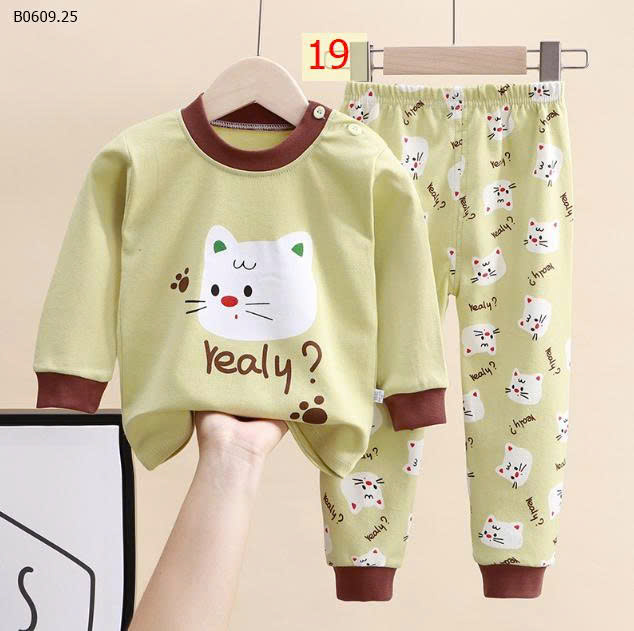 MẪU 19