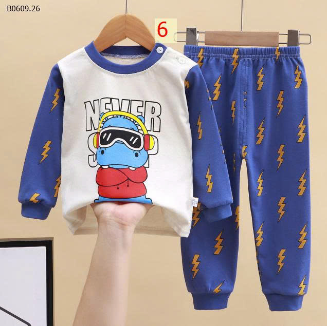 MẪU 6