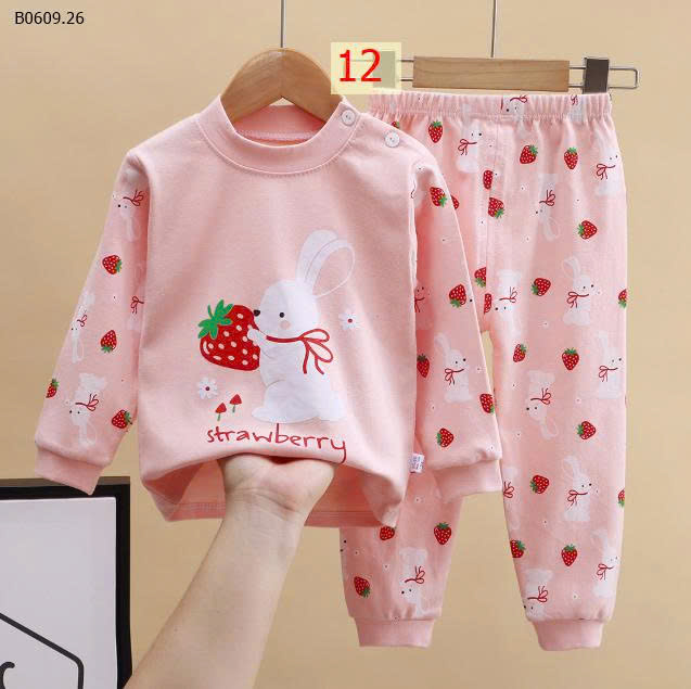 MẪU 12