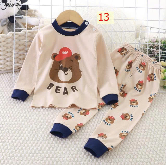 MẪU 13