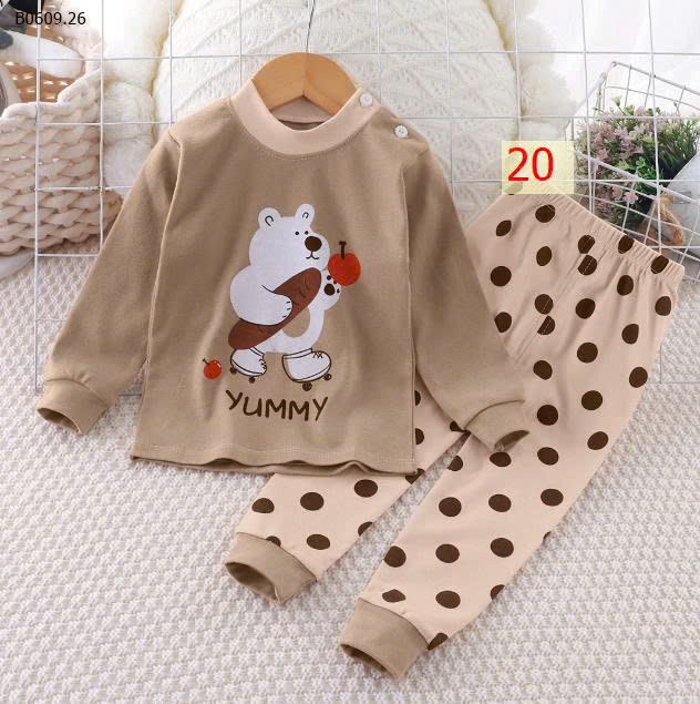 MẪU 20