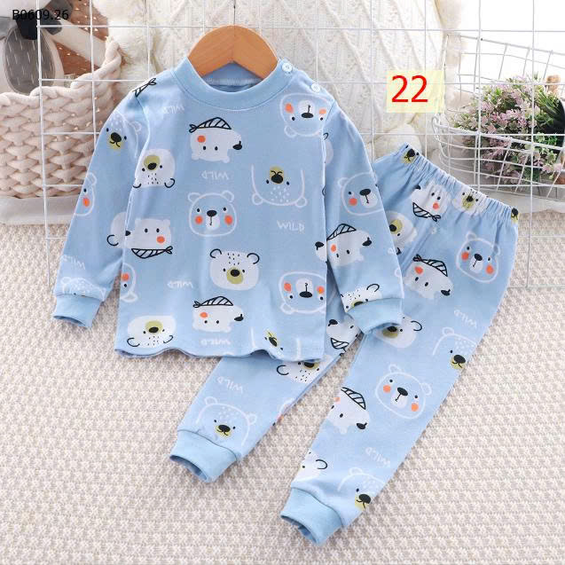 MẪU 22